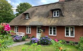 Nordsee-Traum unter Reet